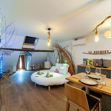 Le Nichoir Cosy : Evasion Bien-Etre Et Massage Apartment Vierzon Exterior photo