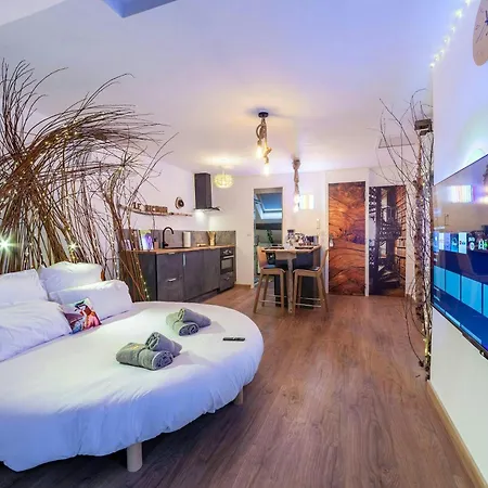 Le Nichoir Cosy : Evasion Bien-Etre Et Massage Apartment Vierzon Exterior photo