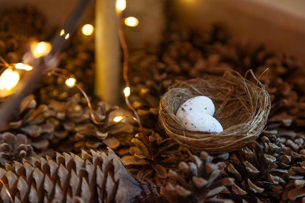 Le Nichoir Cosy : Evasion Bien-etre Et Massage Apartment *